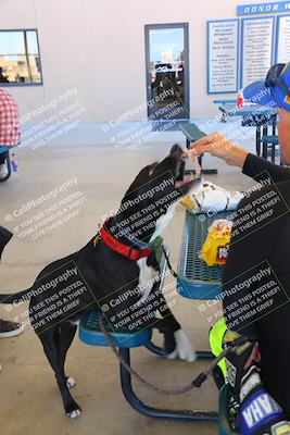 media/Mar-23-2025-TrackDaz (Sun) [[88a7749186]]/Around the Pits/